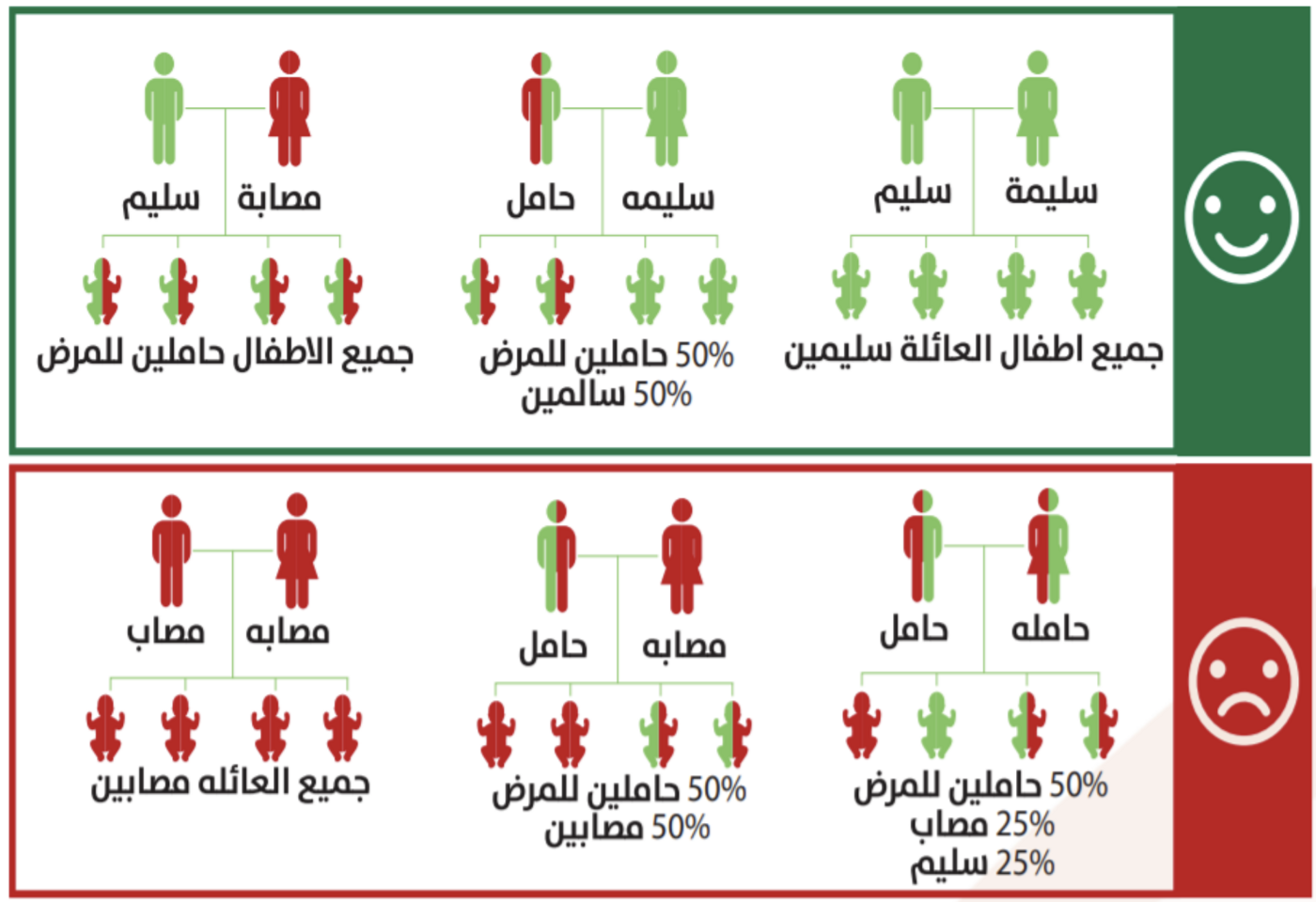 Premarital medical examination